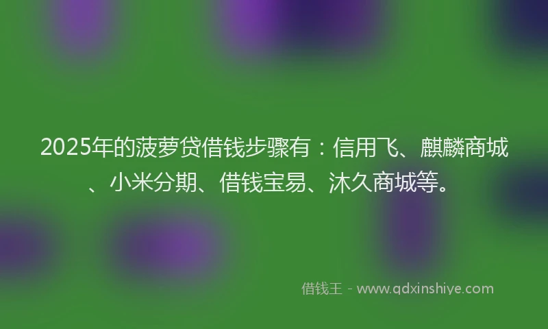 2025年的菠萝贷借钱步骤有：信用飞、麒麟商城、小米分期、借钱宝易、沐久商城等。