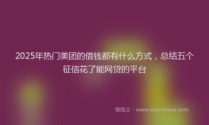 2025年热门美团的借钱都有什么方式，总结五个征信花了能网贷的平台