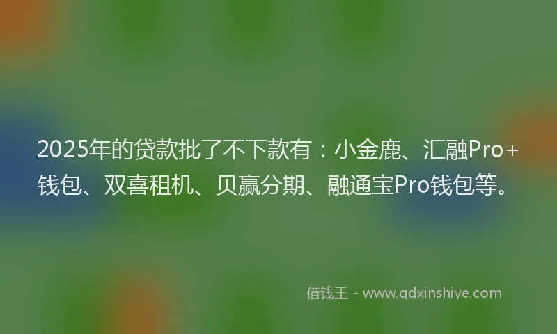 2025年的贷款批了不下款有:小金鹿、汇融Pro+钱包、双喜租机、贝赢分期、融通宝Pro钱包等。