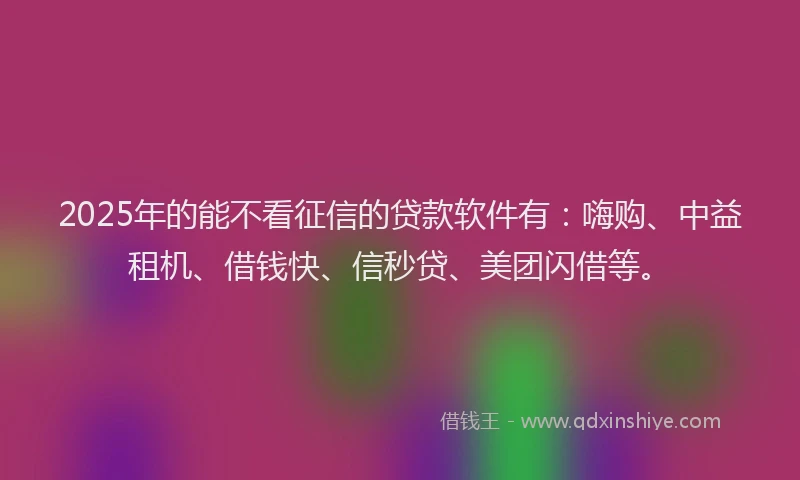 2025年的能不看征信的贷款软件有：嗨购、中益租机、借钱快、信秒贷、美团闪借等。