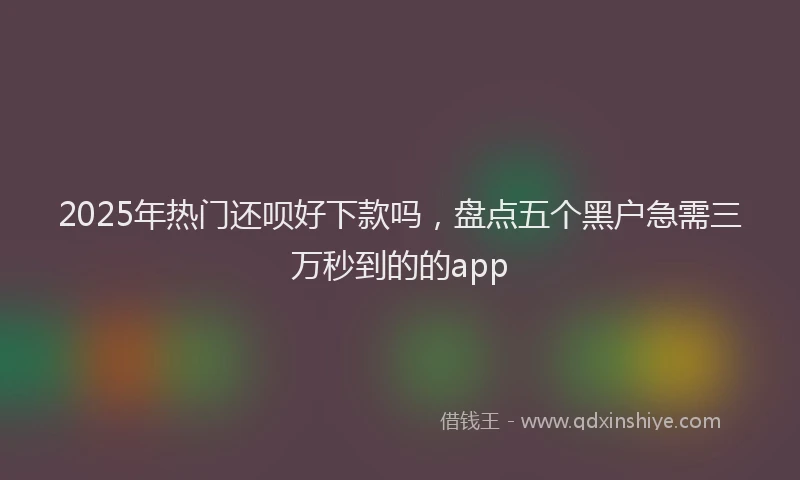 2025年热门还呗好下款吗，盘点五个黑户急需三万秒到的的app