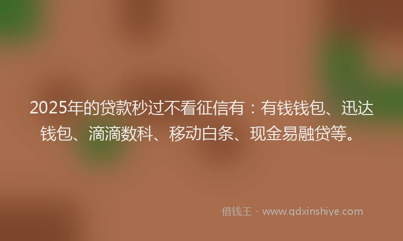 2025年的贷款秒过不看征信有：有钱钱包、迅达钱包、滴滴数科、移动白条、现金易融贷等。