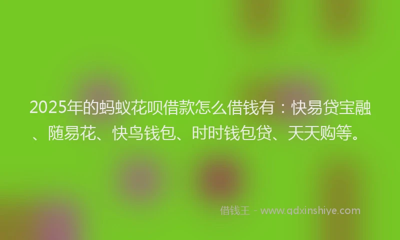 2025年的蚂蚁花呗借款怎么借钱有：快易贷宝融、随易花、快鸟钱包、时时钱包贷、天天购等。