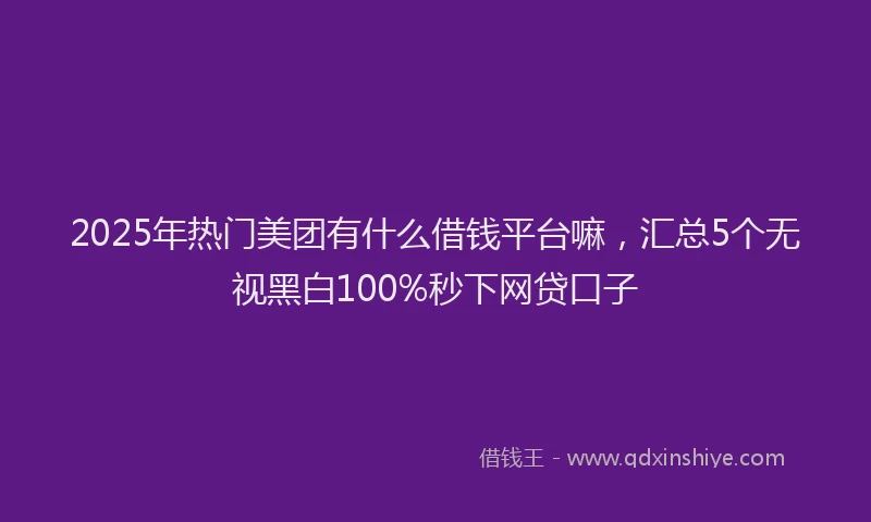 2025年热门美团有什么借钱平台嘛，汇总5个无视黑白100%秒下网贷口子