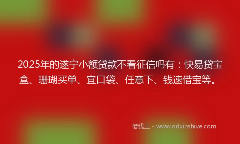 2025年的遂宁小额贷款不看征信吗有：快易贷宝盒、珊瑚买单、宜口袋、任意下、钱速借宝等。