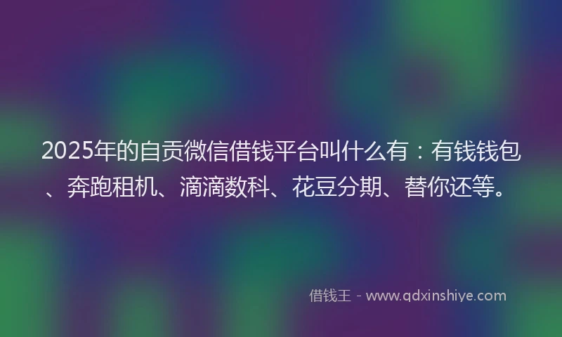 2025年的自贡微信借钱平台叫什么有：有钱钱包、奔跑租机、滴滴数科、花豆分期、替你还等。