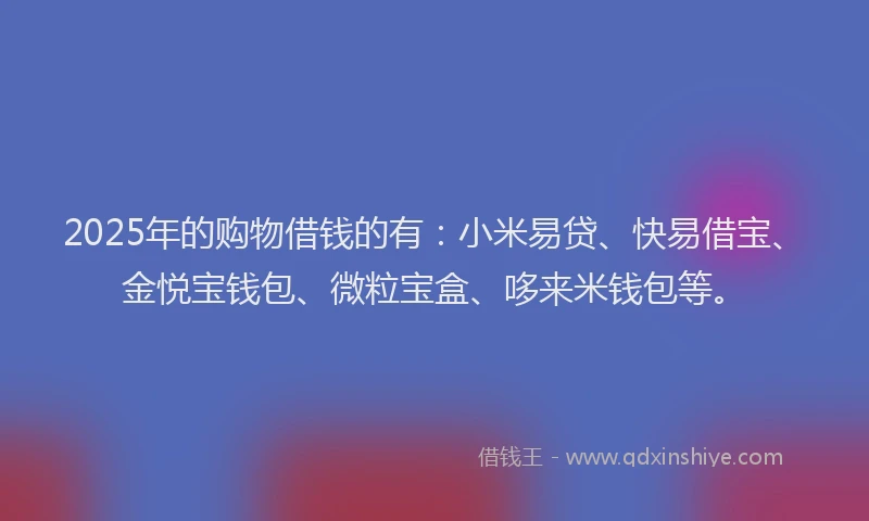 2025年的购物借钱的有：小米易贷、快易借宝、金悦宝钱包、微粒宝盒、哆来米钱包等。