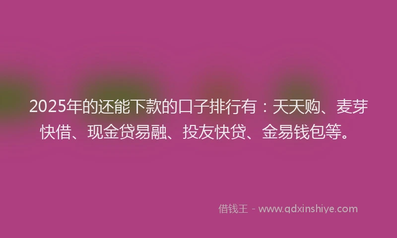 2025年的还能下款的口子排行有：天天购、麦芽快借、现金贷易融、投友快贷、金易钱包等。