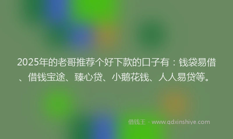 2025年的老哥推荐个好下款的口子有：钱袋易借、借钱宝途、臻心贷、小鹅花钱、人人易贷等。