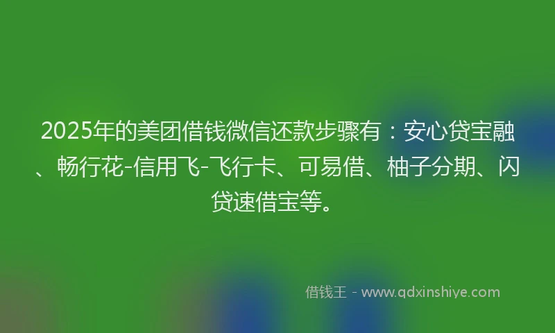 2025年的美团借钱微信还款步骤有：安心贷宝融、畅行花-信用飞-飞行卡、可易借、柚子分期、闪贷速借宝等。