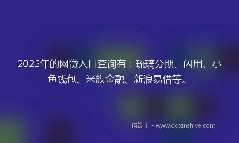 2025年的网贷入口查询有：琉璃分期、闪用、小鱼钱包、米族金融、新浪易借等。