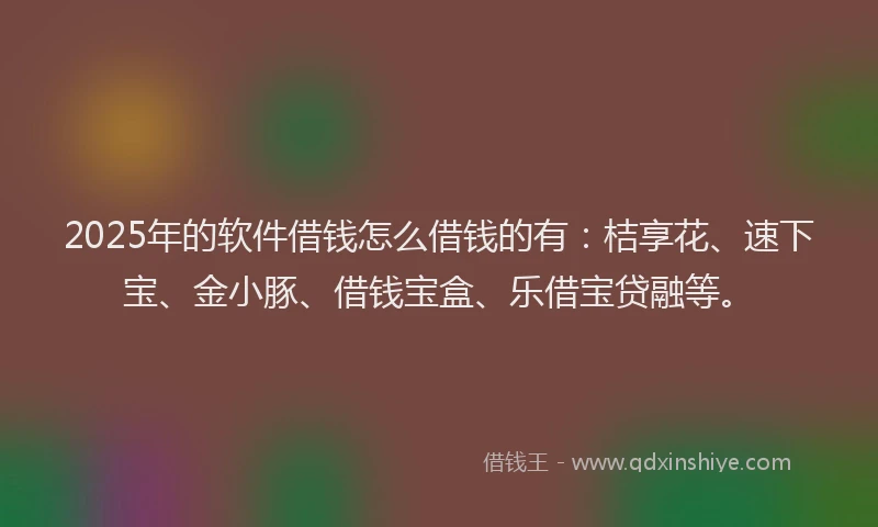 2025年的软件借钱怎么借钱的有：桔享花、速下宝、金小豚、借钱宝盒、乐借宝贷融等。