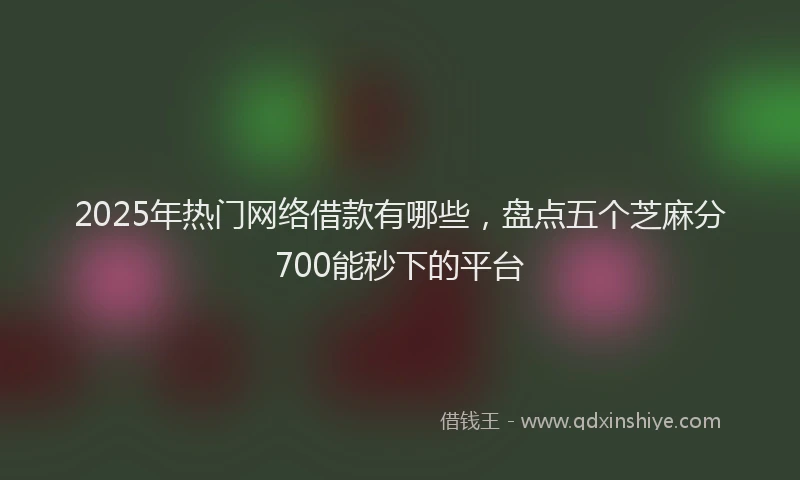 2025年热门网络借款有哪些，盘点五个芝麻分700能秒下的平台