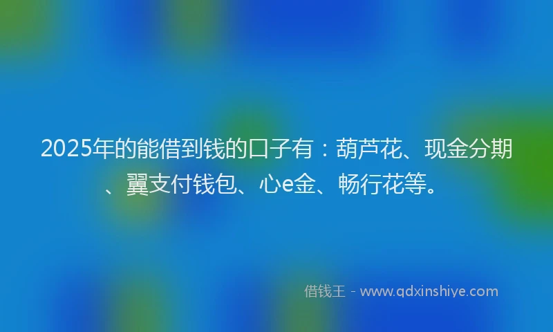 2025年的能借到钱的口子有：葫芦花、现金分期、翼支付钱包、心e金、畅行花等。