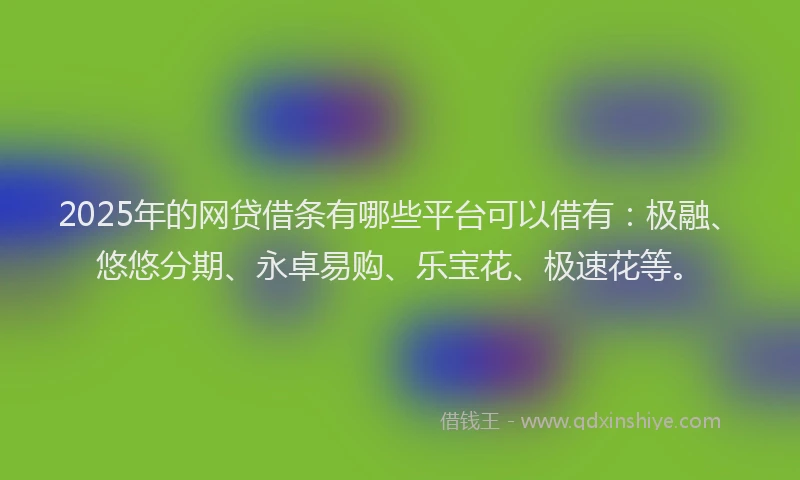 2025年的网贷借条有哪些平台可以借有：极融、悠悠分期、永卓易购、乐宝花、极速花等。