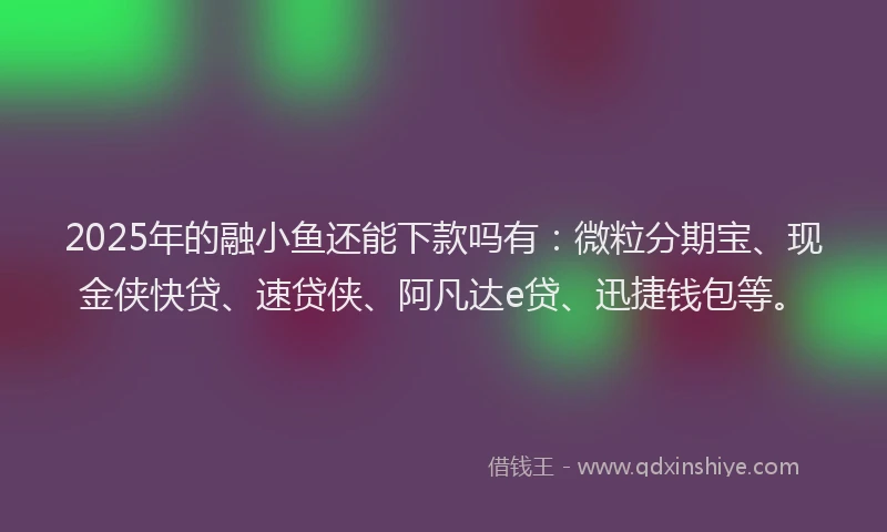 2025年的融小鱼还能下款吗有：微粒分期宝、现金侠快贷、速贷侠、阿凡达e贷、迅捷钱包等。