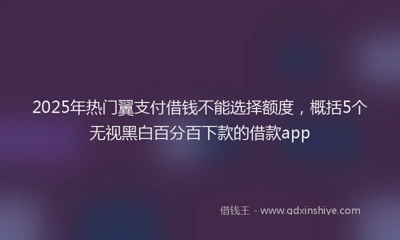 2025年热门翼支付借钱不能选择额度，概括5个无视黑白百分百下款的借款app