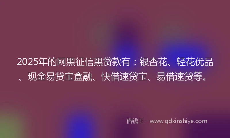 2025年的网黑征信黑贷款有：银杏花、轻花优品、现金易贷宝盒融、快借速贷宝、易借速贷等。