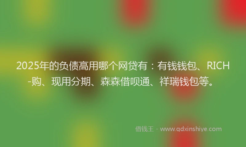 2025年的负债高用哪个网贷有：有钱钱包、RICH-购、现用分期、森森借呗通、祥瑞钱包等。