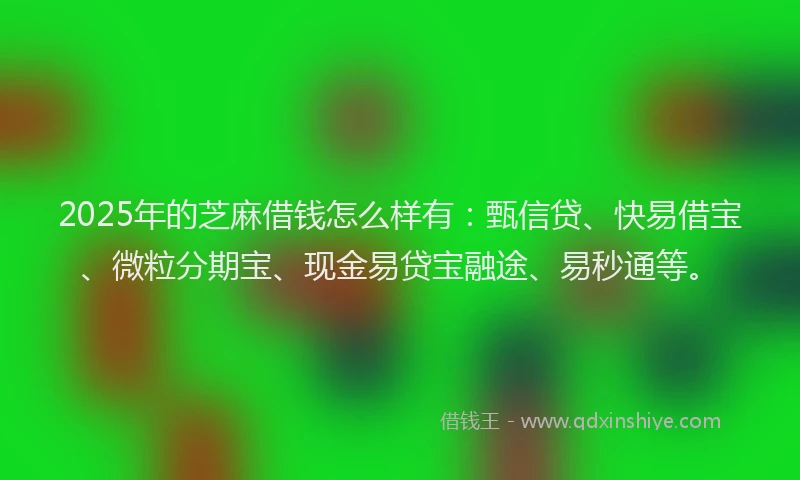 2025年的芝麻借钱怎么样有：甄信贷、快易借宝、微粒分期宝、现金易贷宝融途、易秒通等。