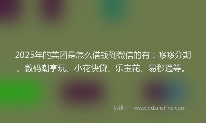 2025年的美团是怎么借钱到微信的有：哆哆分期、数码潮享玩、小花快贷、乐宝花、易秒通等。