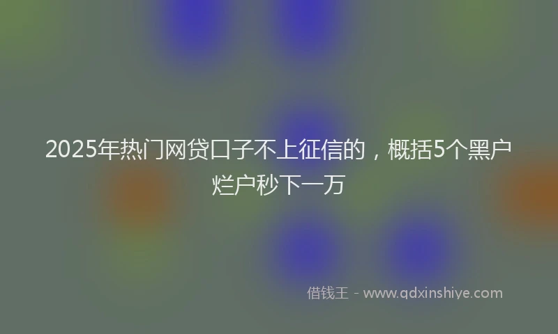 2025年热门网贷口子不上征信的，概括5个黑户烂户秒下一万