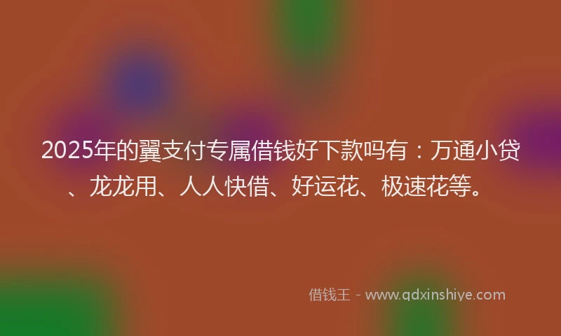 2025年的翼支付专属借钱好下款吗有：万通小贷、龙龙用、人人快借、好运花、极速花等。