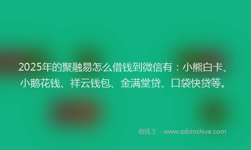 2025年的聚融易怎么借钱到微信有：小熊白卡、小鹅花钱、祥云钱包、金满堂贷、口袋快贷等。