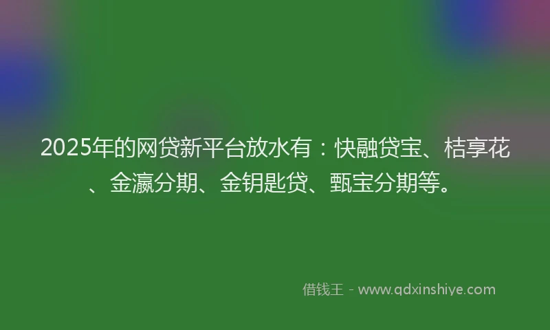 2025年的网贷新平台放水有：快融贷宝、桔享花、金瀛分期、金钥匙贷、甄宝分期等。