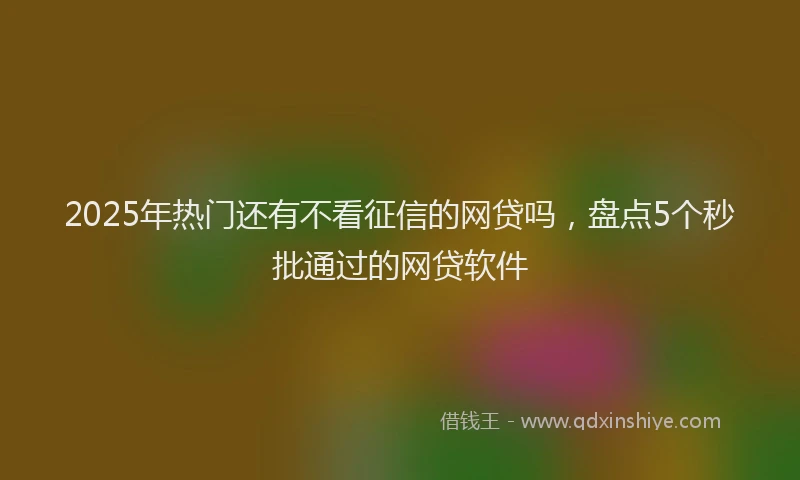2025年热门还有不看征信的网贷吗，盘点5个秒批通过的网贷软件