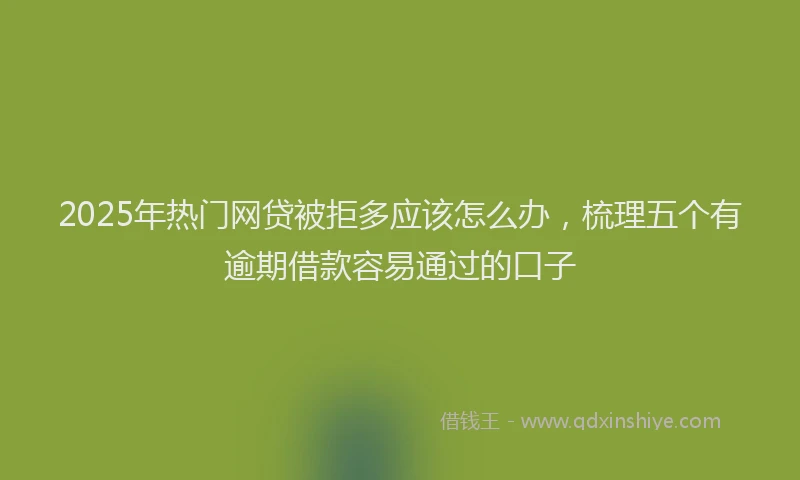 2025年热门网贷被拒多应该怎么办，梳理五个有逾期借款容易通过的口子