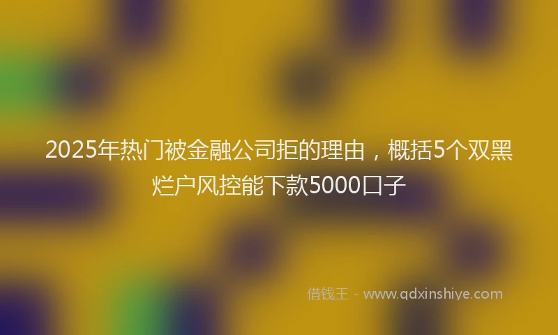 2025年热门被金融公司拒的理由，概括5个双黑烂户风控能下款5000口子