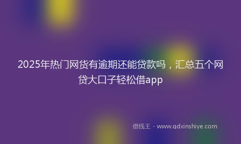 2025年热门网货有逾期还能贷款吗，汇总五个网贷大口子轻松借app