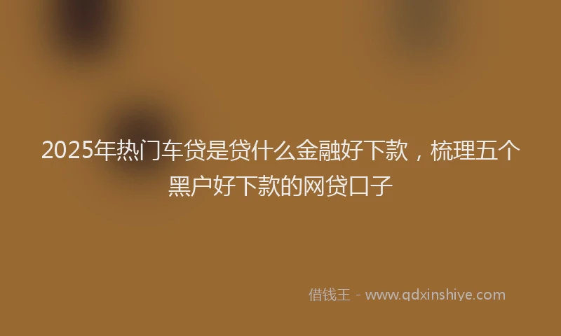 2025年热门车贷是贷什么金融好下款，梳理五个黑户好下款的网贷口子