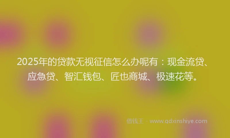 2025年的贷款无视征信怎么办呢有：现金流贷、应急贷、智汇钱包、匠也商城、极速花等。