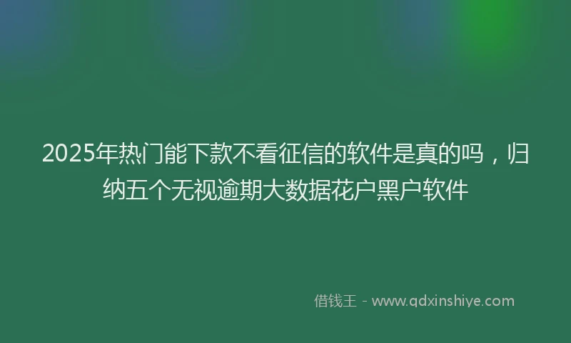 2025年热门能下款不看征信的软件是真的吗，归纳五个无视逾期大数据花户黑户软件