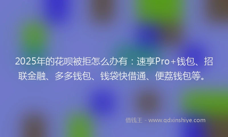2025年的花呗被拒怎么办有：速享Pro+钱包、招联金融、多多钱包、钱袋快借通、便荔钱包等。