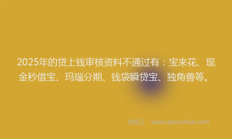 2025年的贷上钱审核资料不通过有：宝来花、现金秒借宝、玛瑙分期、钱袋瞬贷宝、独角兽等。