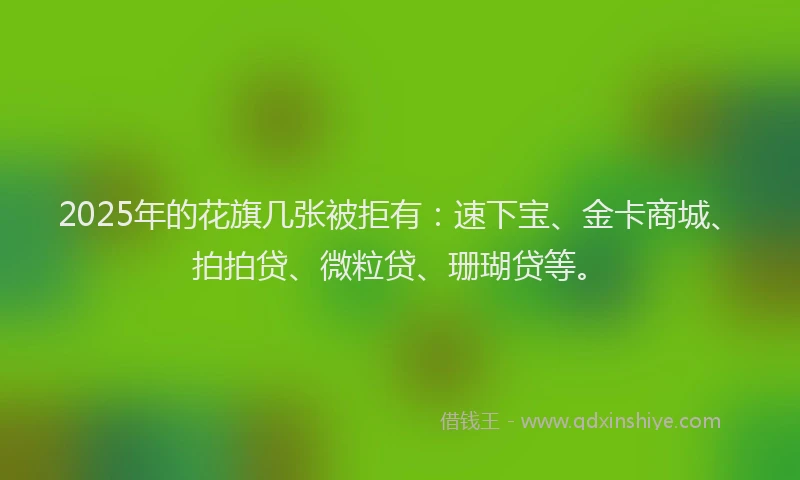 2025年的花旗几张被拒有：速下宝、金卡商城、拍拍贷、微粒贷、珊瑚贷等。