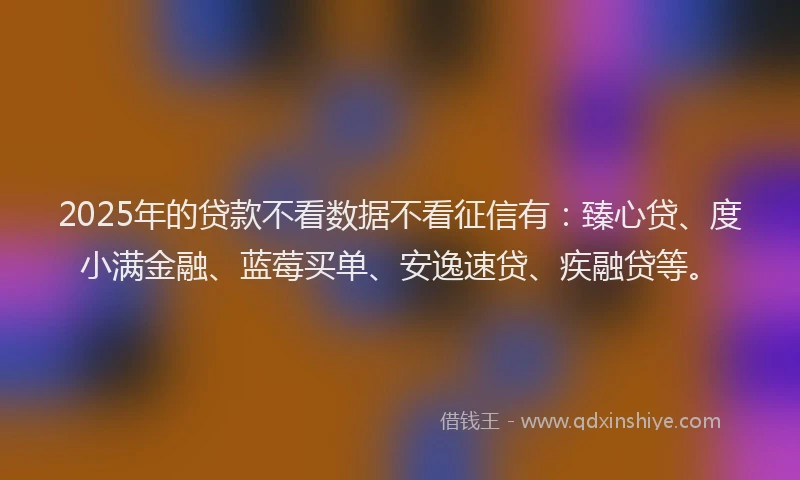 2025年的贷款不看数据不看征信有：臻心贷、度小满金融、蓝莓买单、安逸速贷、疾融贷等。