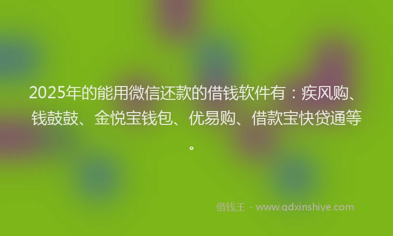 2025年的能用微信还款的借钱软件有：疾风购、钱鼓鼓、金悦宝钱包、优易购、借款宝快贷通等。