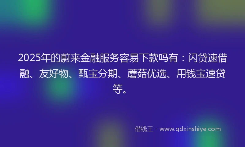 2025年的蔚来金融服务容易下款吗有：闪贷速借融、友好物、甄宝分期、蘑菇优选、用钱宝速贷等。