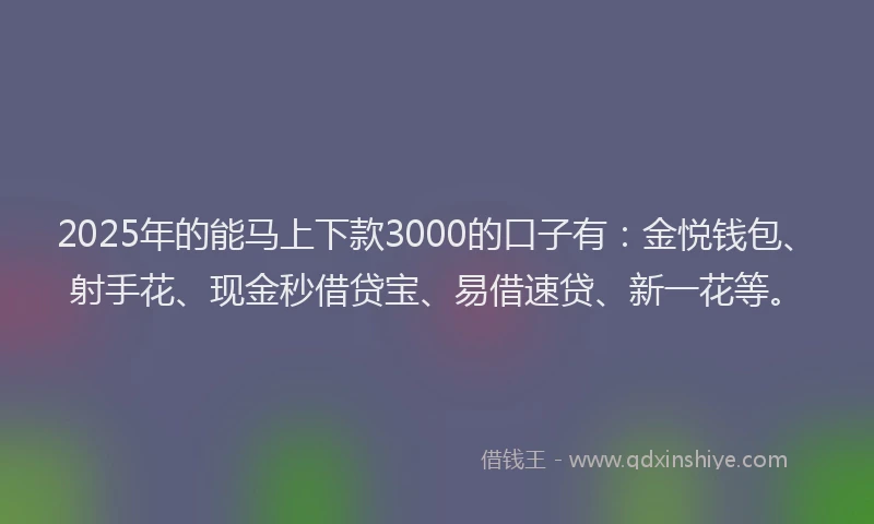 2025年的能马上下款3000的口子有：金悦钱包、射手花、现金秒借贷宝、易借速贷、新一花等。