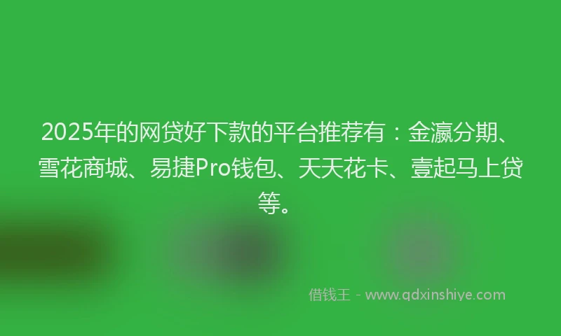 2025年的网贷好下款的平台推荐有：金瀛分期、雪花商城、易捷Pro钱包、天天花卡、壹起马上贷等。