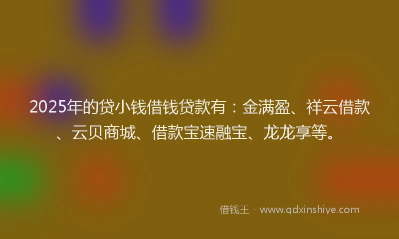 2025年的贷小钱借钱贷款有：金满盈、祥云借款、云贝商城、借款宝速融宝、龙龙享等。