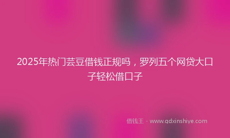 2025年热门芸豆借钱正规吗,罗列五个网贷大口子轻松借口子