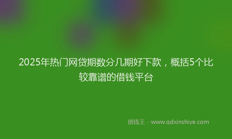 2025年热门网贷期数分几期好下款，概括5个比较靠谱的借钱平台