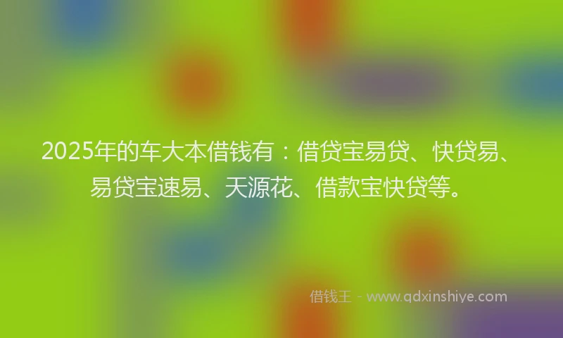 2025年的车大本借钱有：借贷宝易贷、快贷易、易贷宝速易、天源花、借款宝快贷等。