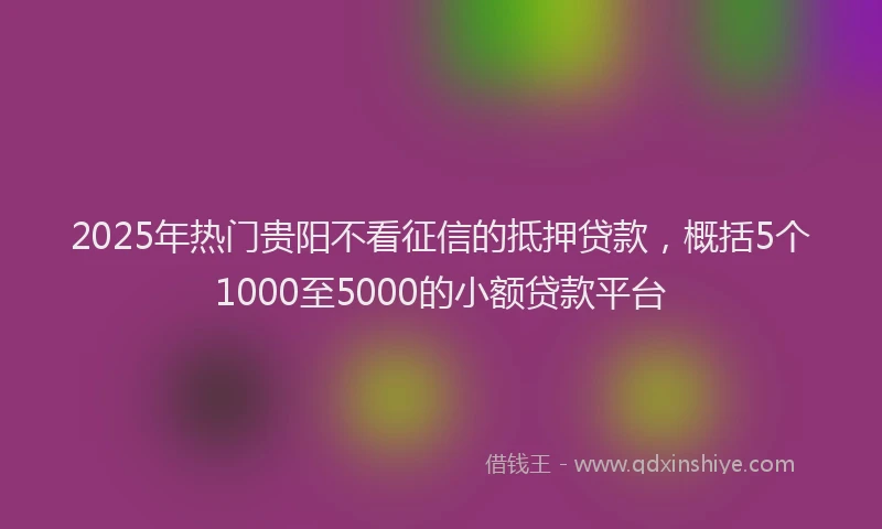 2025年热门贵阳不看征信的抵押贷款，概括5个1000至5000的小额贷款平台