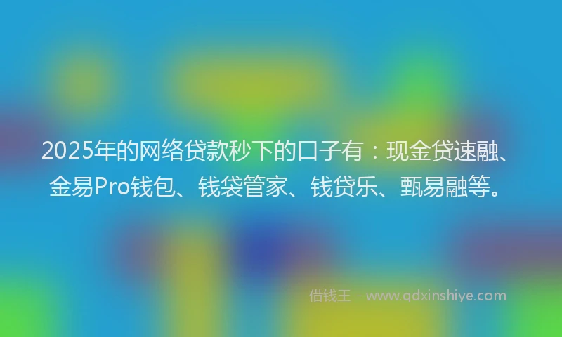 2025年的网络贷款秒下的口子有：现金贷速融、金易Pro钱包、钱袋管家、钱贷乐、甄易融等。